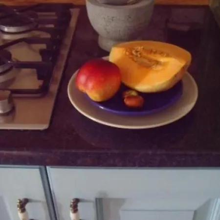 Fischer Fritz 2 By Interhome * 贝蒂纳